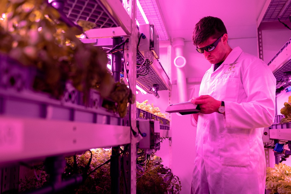 Reasons for the importance of agriculture Reasons for the importance of agriculture